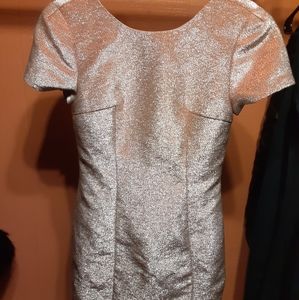 Express sheath dress